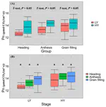 Improving Grain Yield via Promotion of Kernel Weight in High Yielding Winter Wheat Genotypes