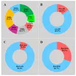 Understanding the Effects of Growing Seasons, Genotypes, and Their Interactions on the Anthesis Date of Wheat Sown in North China