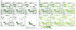 Coupling of machine learning methods to improve estimation of ground coverage from unmanned aerial vehicle (UAV) imagery for high-throughput phenotyping of crops